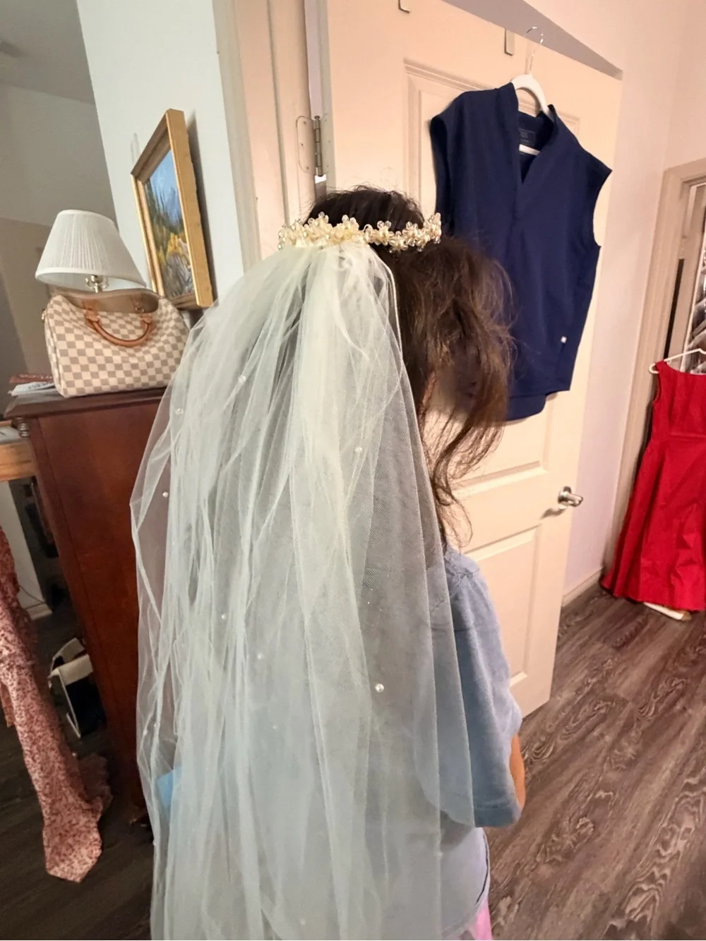 Ivory Pearl-Accented Bridal Veil with Decorative Tiara